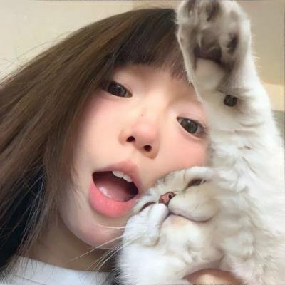 炭团与竹轮
